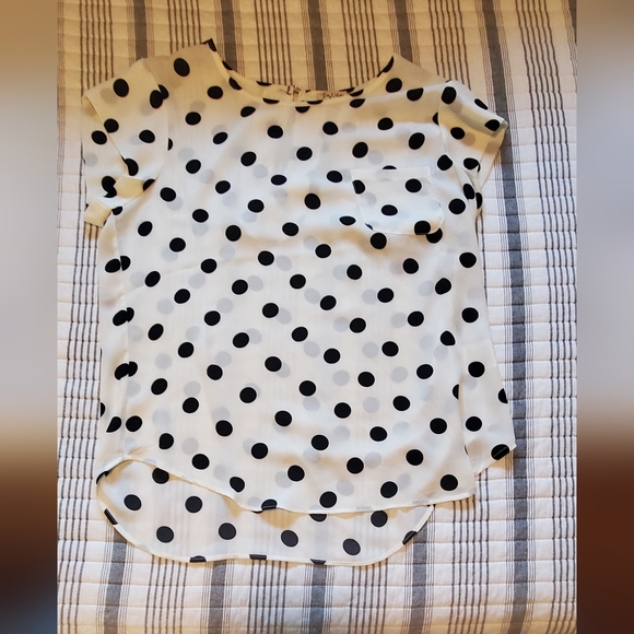 Medium, White and Black Polka Dot Short Sleeve Lily White Blouse - Picture 1 of 4